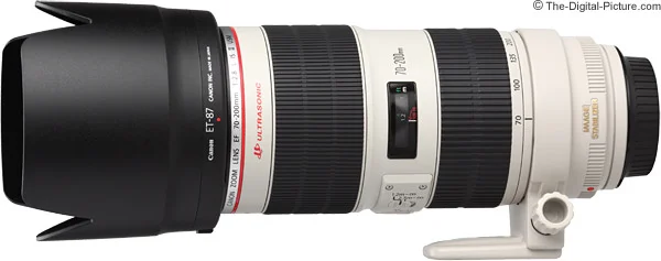 Canon RF 70-200mm f/2.8L IS USM II Lens